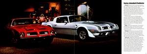 1975 Pontiac Firebird (Cdn)-02-03.jpg